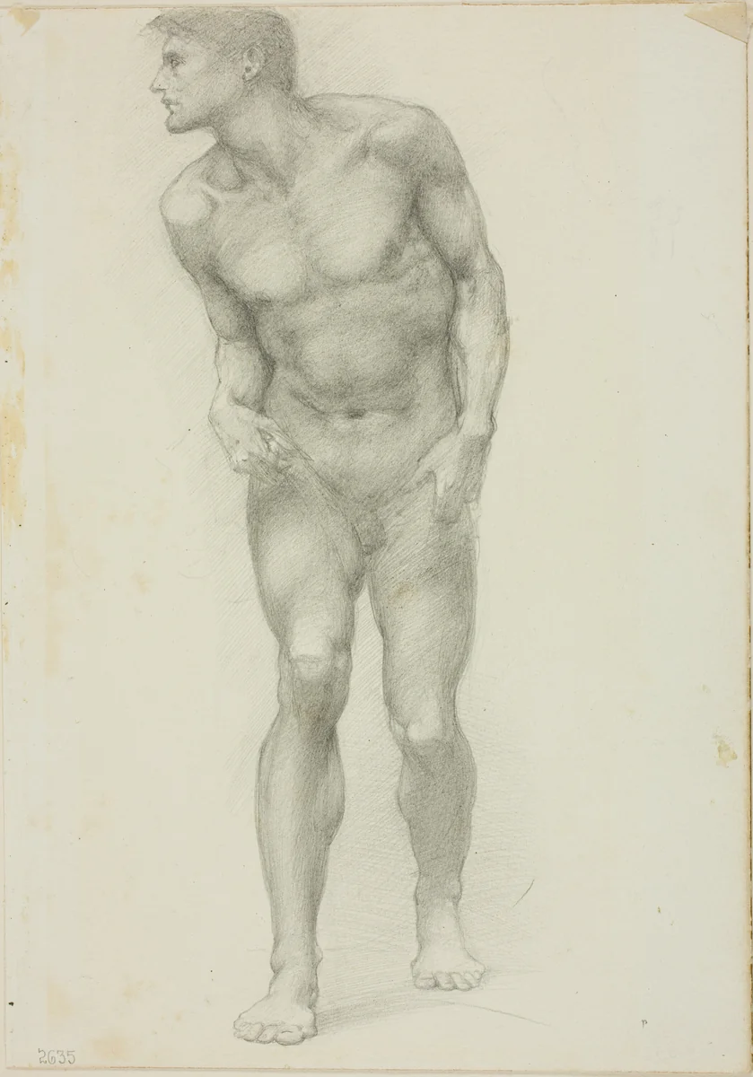 Standing Nude Male with Face in Profile by Edward Burne-Jones, drawing, 1868-1883