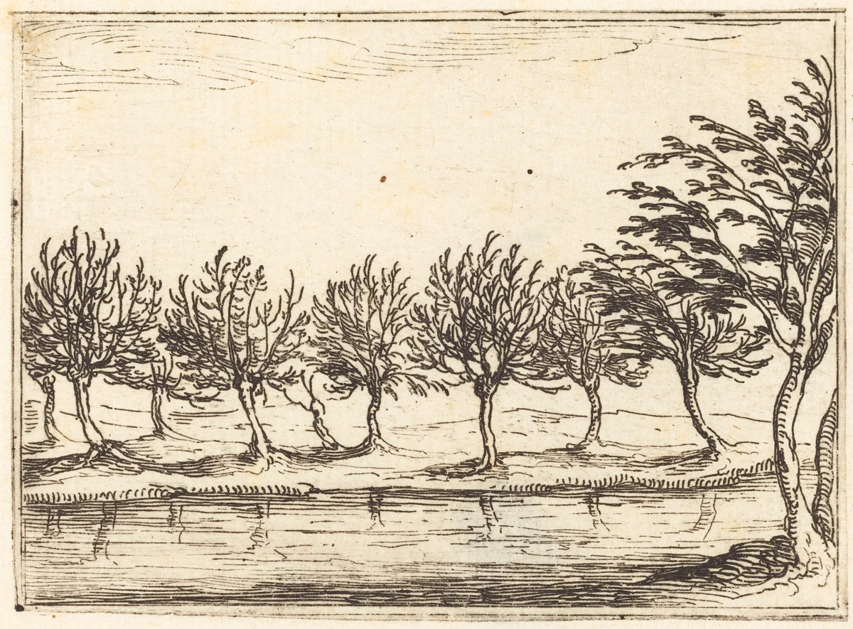 Willows by the Water's Edge by Jacques Callot, print, 1628