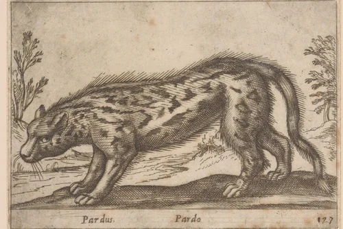 Panter by Antonio Tempesta, print, 1565-1630