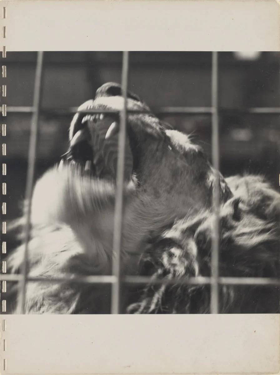 40 Fotos, page 20 by Robert Frank, photograph, 1946