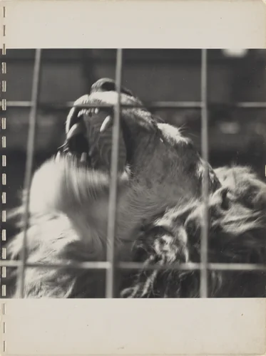 40 Fotos, page 20 by Robert Frank, photograph, 1946
