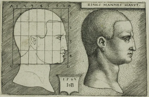 Profile Study of Man's Head by Sebald Beham, print, 1542