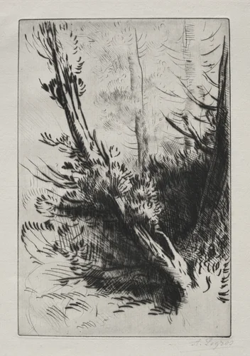 In the Woods by Alphonse Legros, print, 1857-1911
