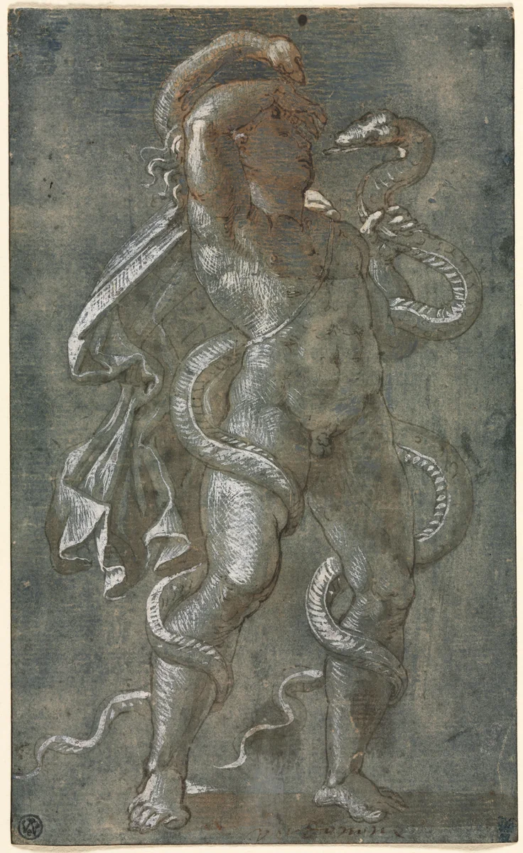 Man Entwined by Two Snakes by Giovanni Antonio da Pordenone, drawing, 1522-1532