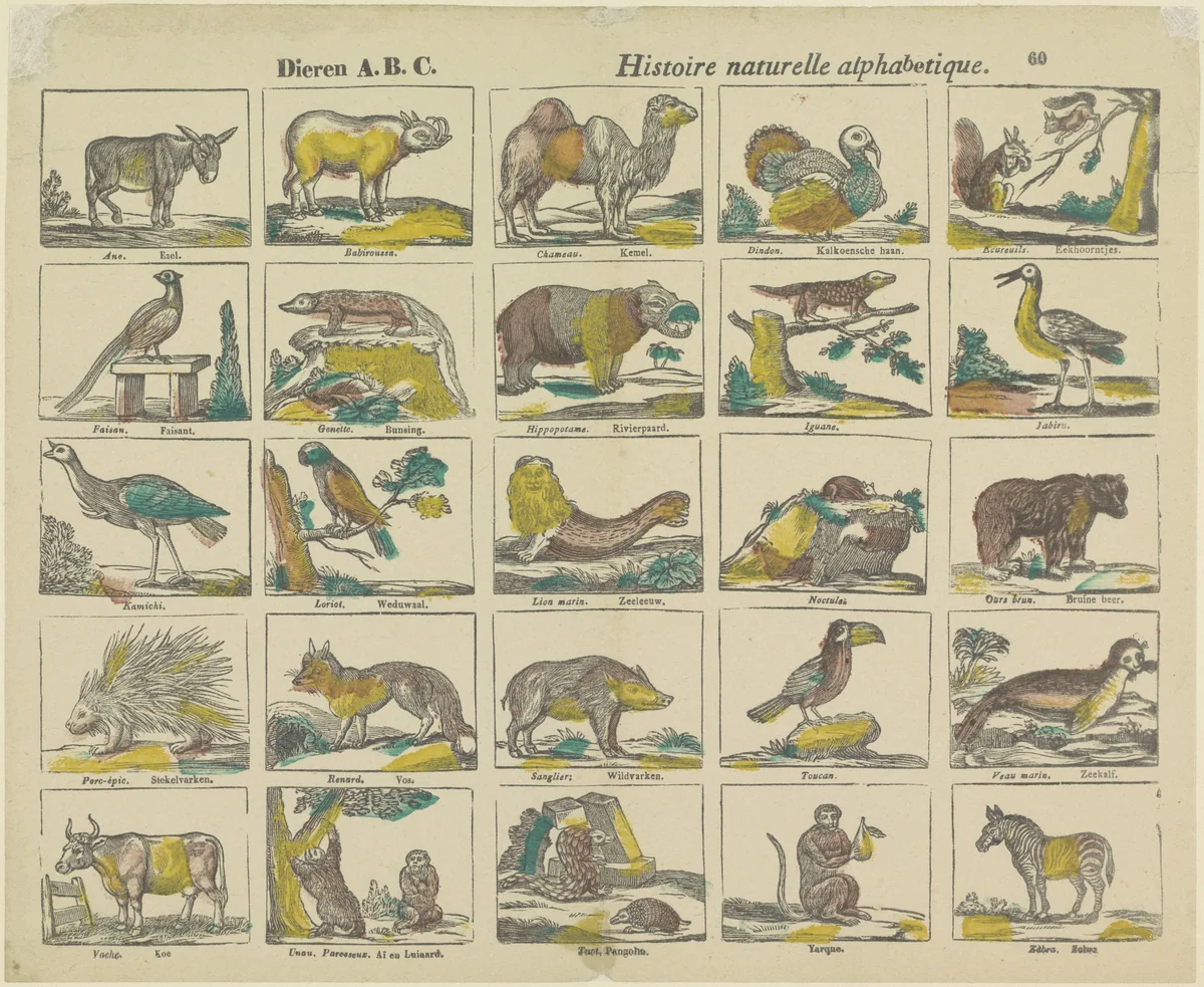 Dieren A.B.C. / histoire naturelle alphabetique by Philippus Jacobus Brepols, print, 1800-1833
