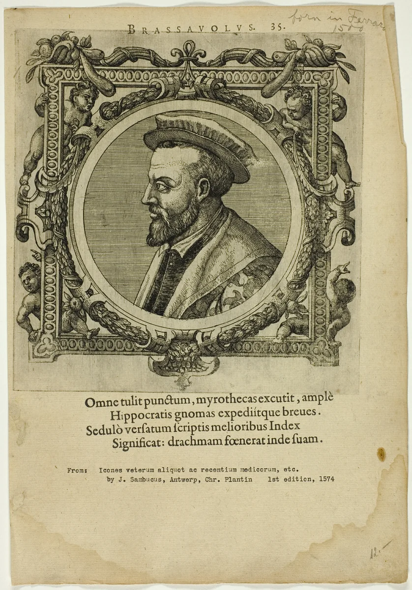 Portrait of Brassauolus by Unknown Artist, print, 1574