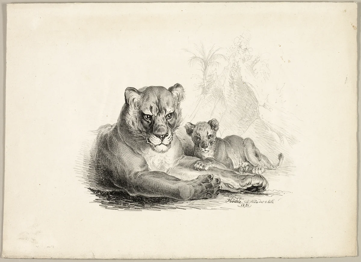 Lion with Cubs by Johann Höchle, print, 1831