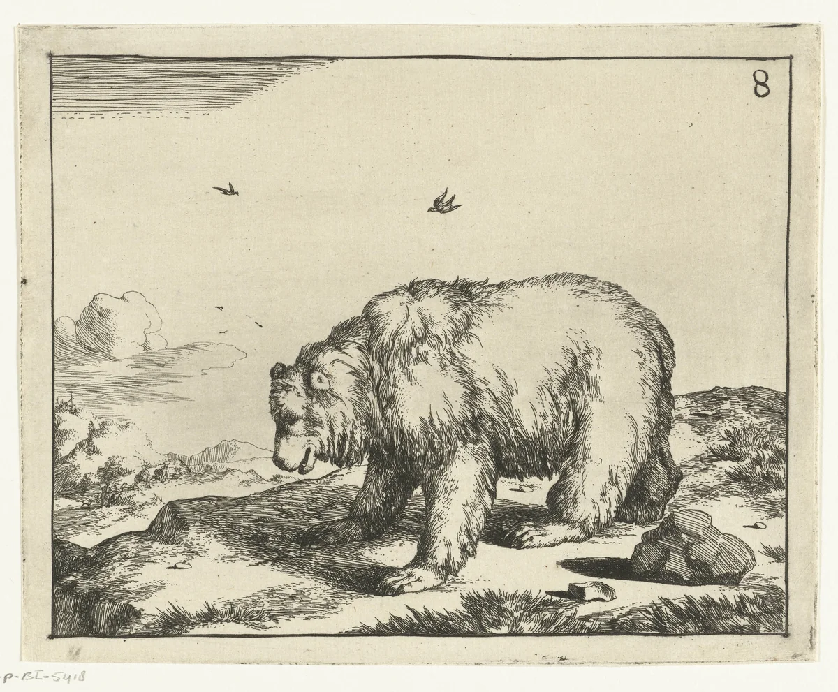 Staande beer, en profil by Marcus de Bye, print, 1664