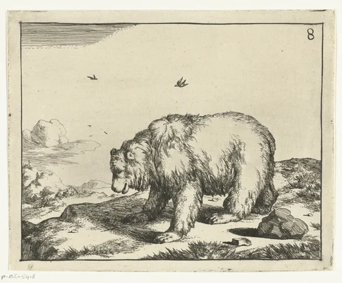 Staande beer, en profil by Marcus de Bye, print, 1664