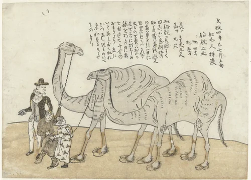 Camel and Dromedary by anonymous, print, 1821