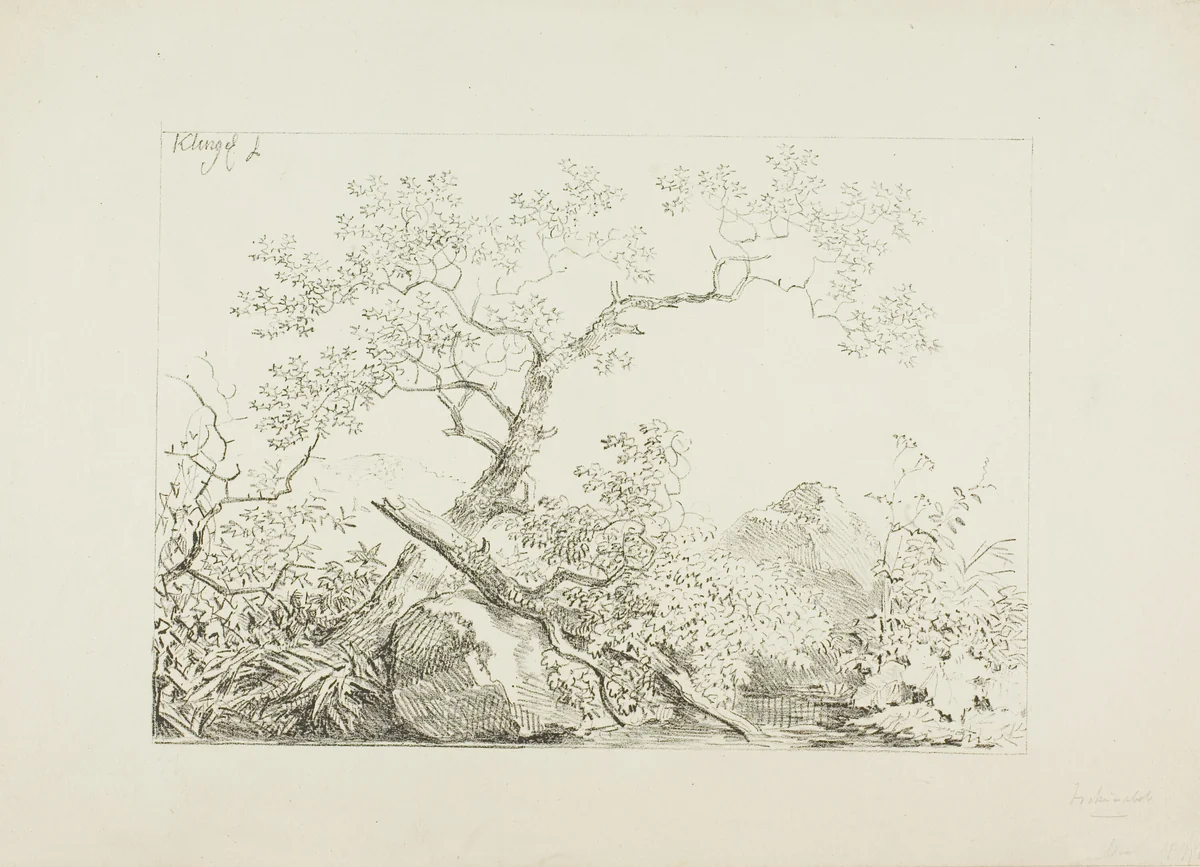 Trees and Rocks by Water by Johann Christian Klengel, print, 1800-1900