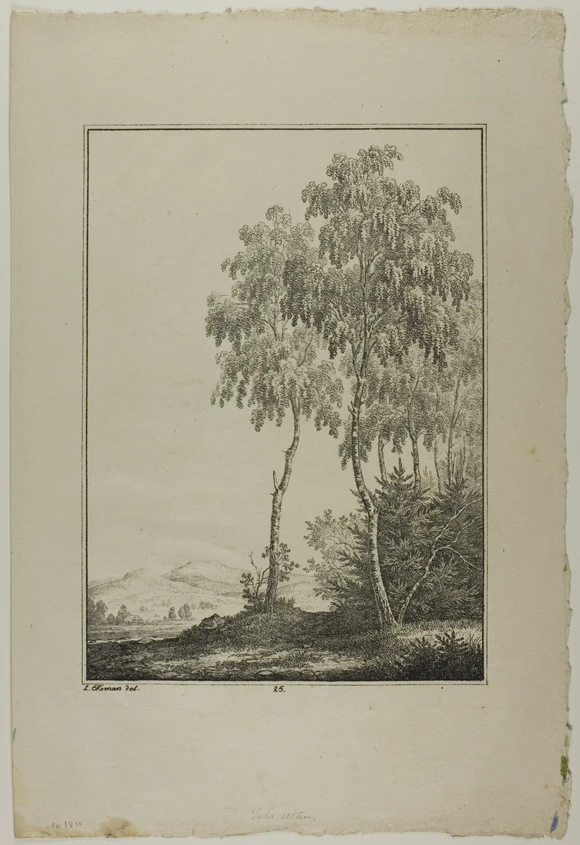 Plate 25 from Blatt Baum und Landschafts Studien by Lorenz Ekemann Alesson, print, 1805-1815