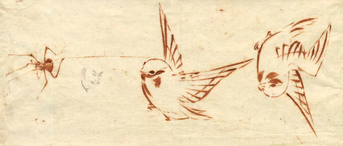 Sketch Page with Birds and Spider by Katsushika Hokusai (葛飾 北斎), drawing, 1780-1849