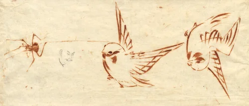 Sketch Page with Birds and Spider by Katsushika Hokusai (葛飾 北斎), drawing, 1780-1849