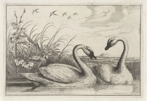 Twee zwanen by anonymous, print, 1654-1712
