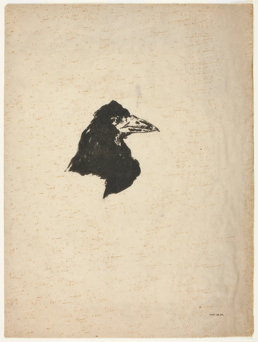 Head of a Raven in Profile, from The Raven (Le Corbeau) by Édouard Manet, print, 1875