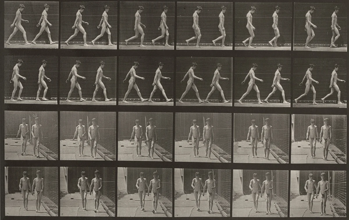 Plate Number 12. Walking by Eadweard Muybridge, photograph, 1887