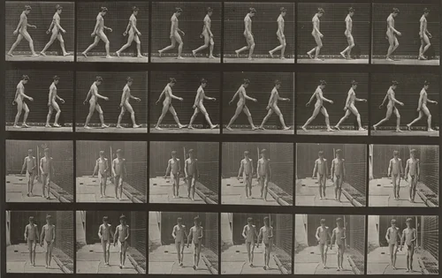 Plate Number 12. Walking by Eadweard Muybridge, photograph, 1887
