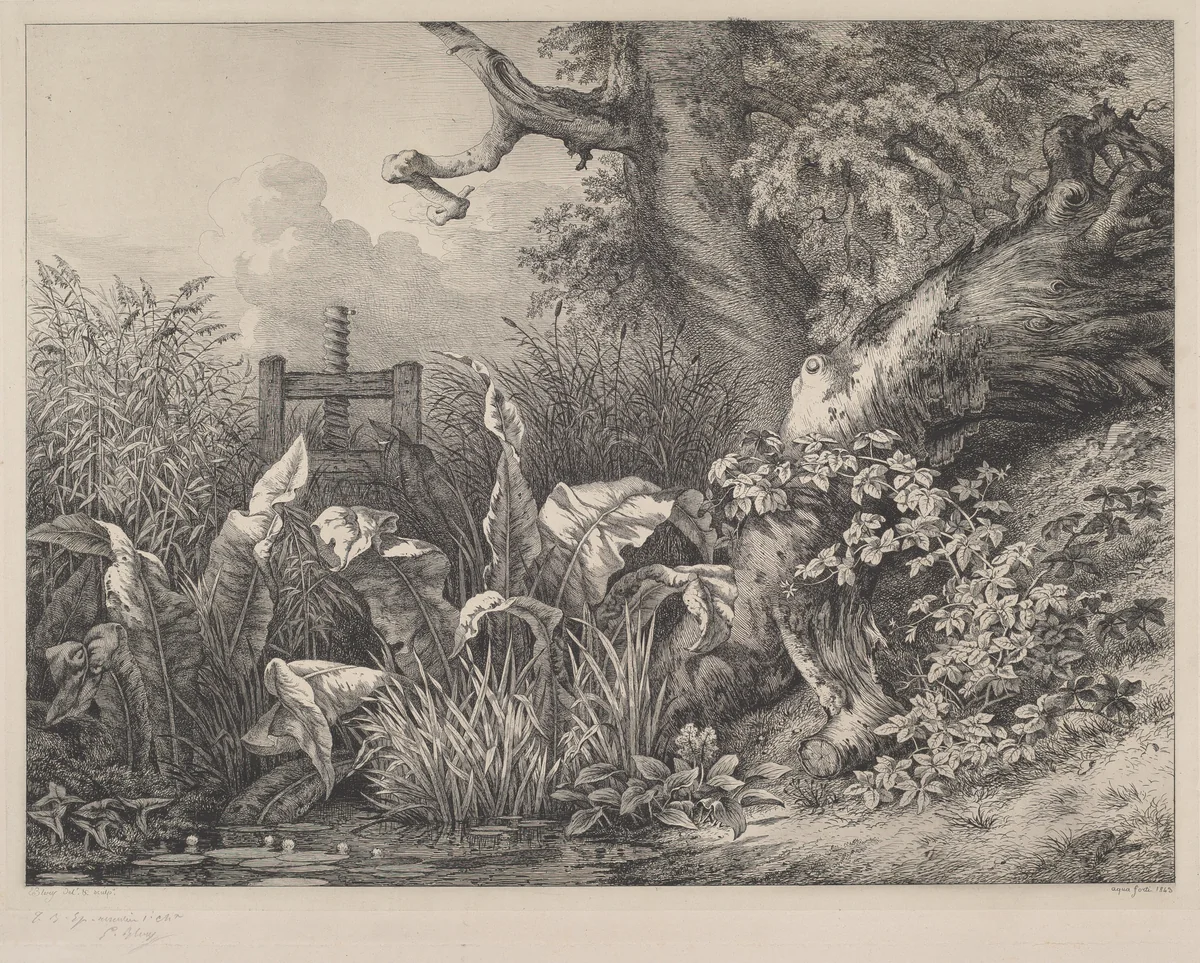 Water Dock and Brambles at a Sluice by Eugène Bléry, print, 1843