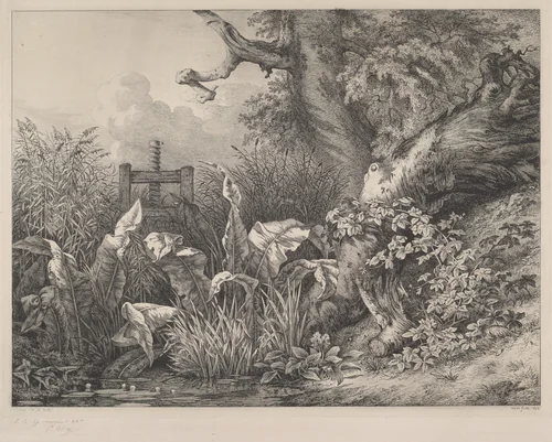 Water Dock and Brambles at a Sluice by Eugène Bléry, print, 1843