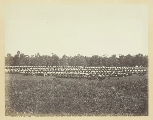 Wagon Park, Brandy Station, Virginia by Timothy O'Sullivan, photograph, 1863