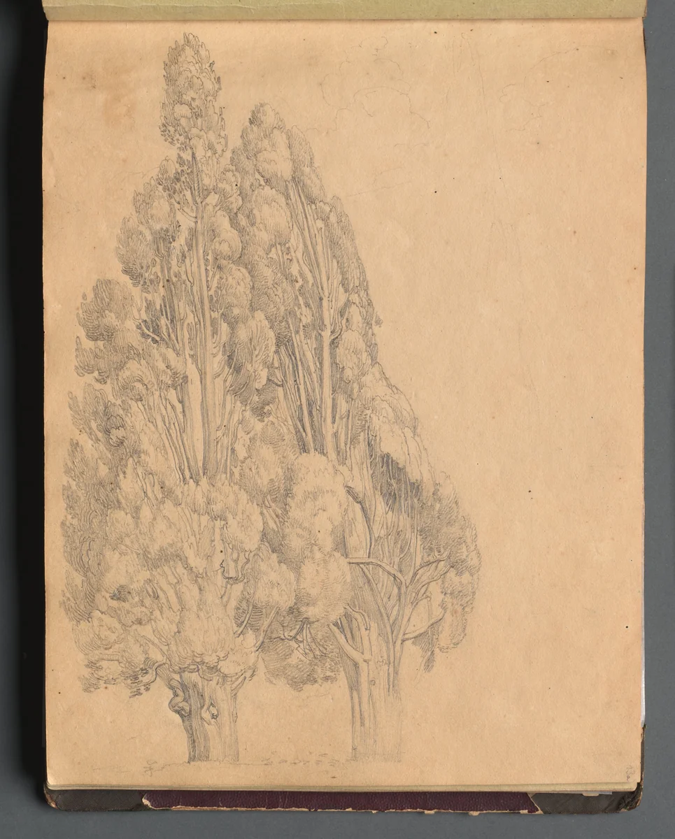 Album with Views of Rome and Surroundings, Landscape Studies, page 13a: Trees by Franz Nadorp, book, 1830-1870