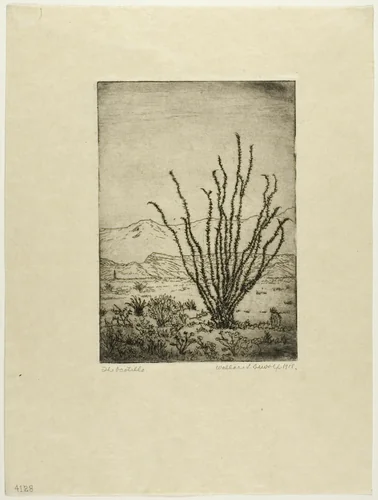 The Ocotillo by Wallace DeWolf, print, 1918