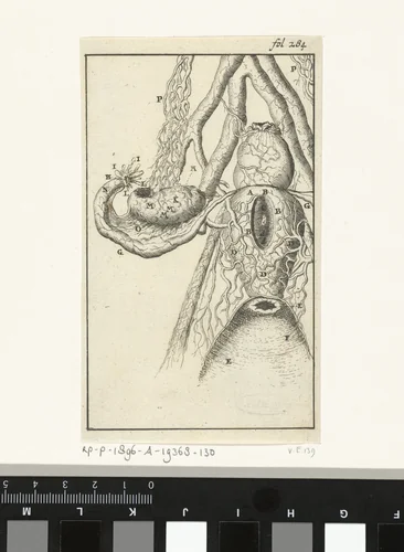 Anatomische afbeelding X by Jan Luyken, print, 1680-1688