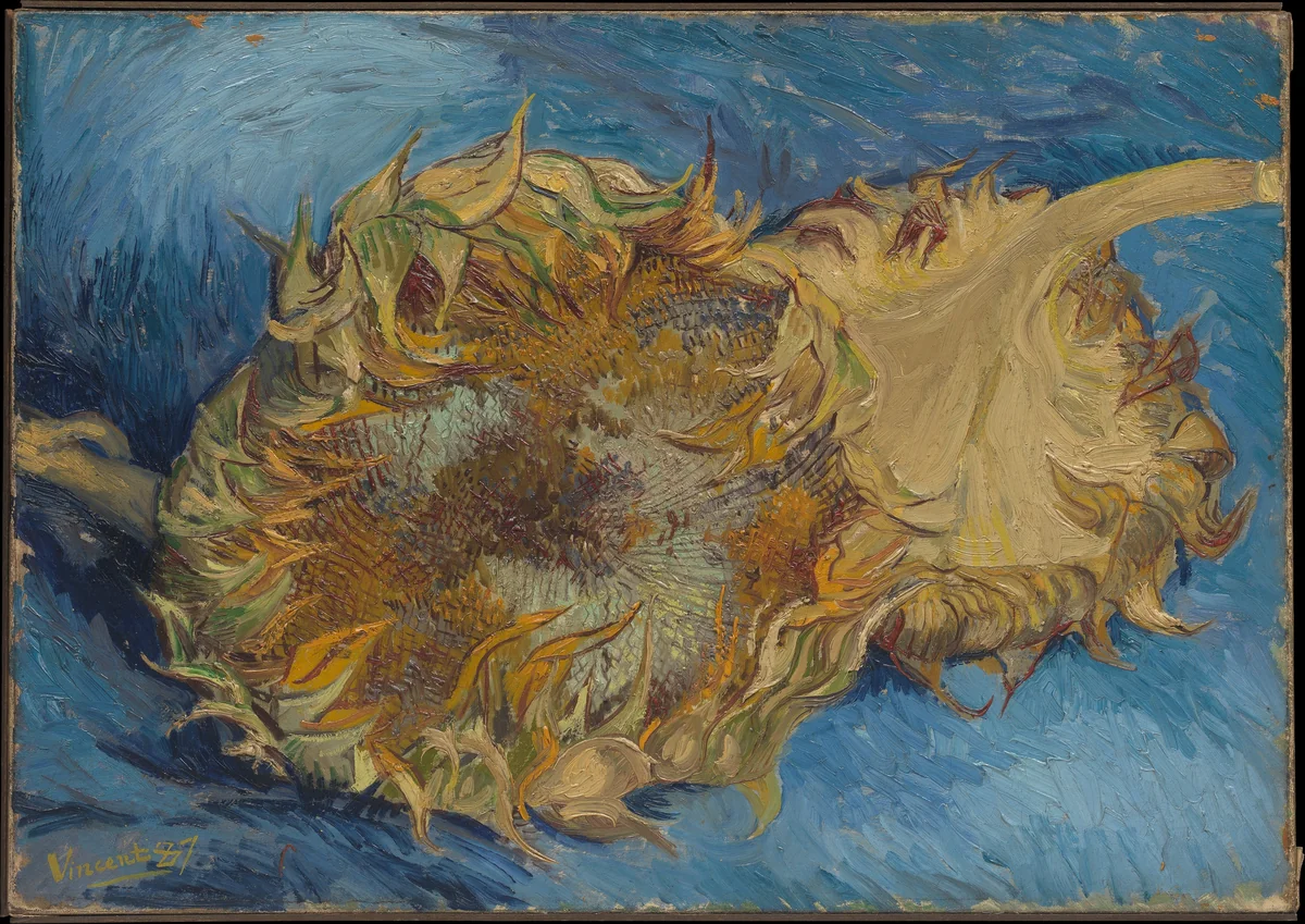 Sunflowers by Vincent van Gogh, painting, 1887