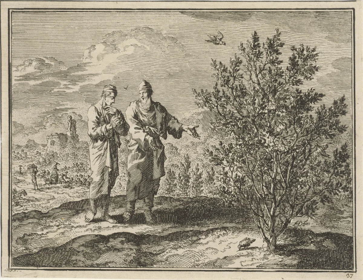 Twee mannen beschouwen een struik, opgegroeid uit mosterdzaad by Jan Luyken, print, 1712