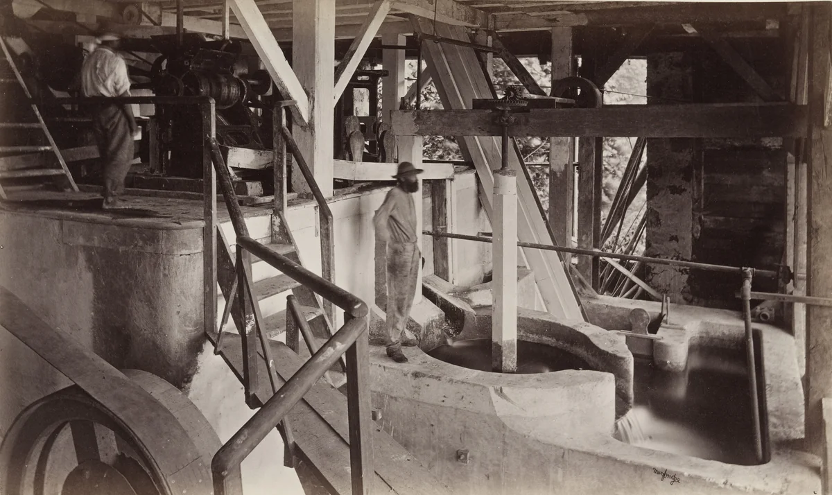 Machinery for Pulping Coffee by Eadweard Muybridge, photograph, 1875