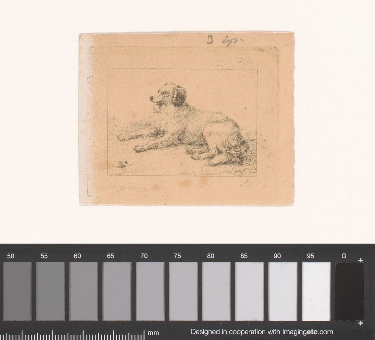 Liggende spaniël by Eugène Verboeckhoven, print, 1830