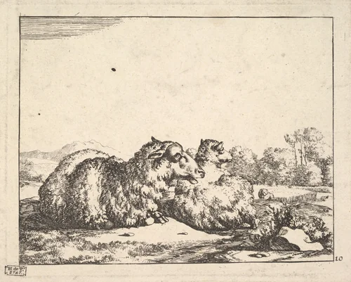 Sheep, from a set of 16 plates by Marcus de Bye, print, 1664