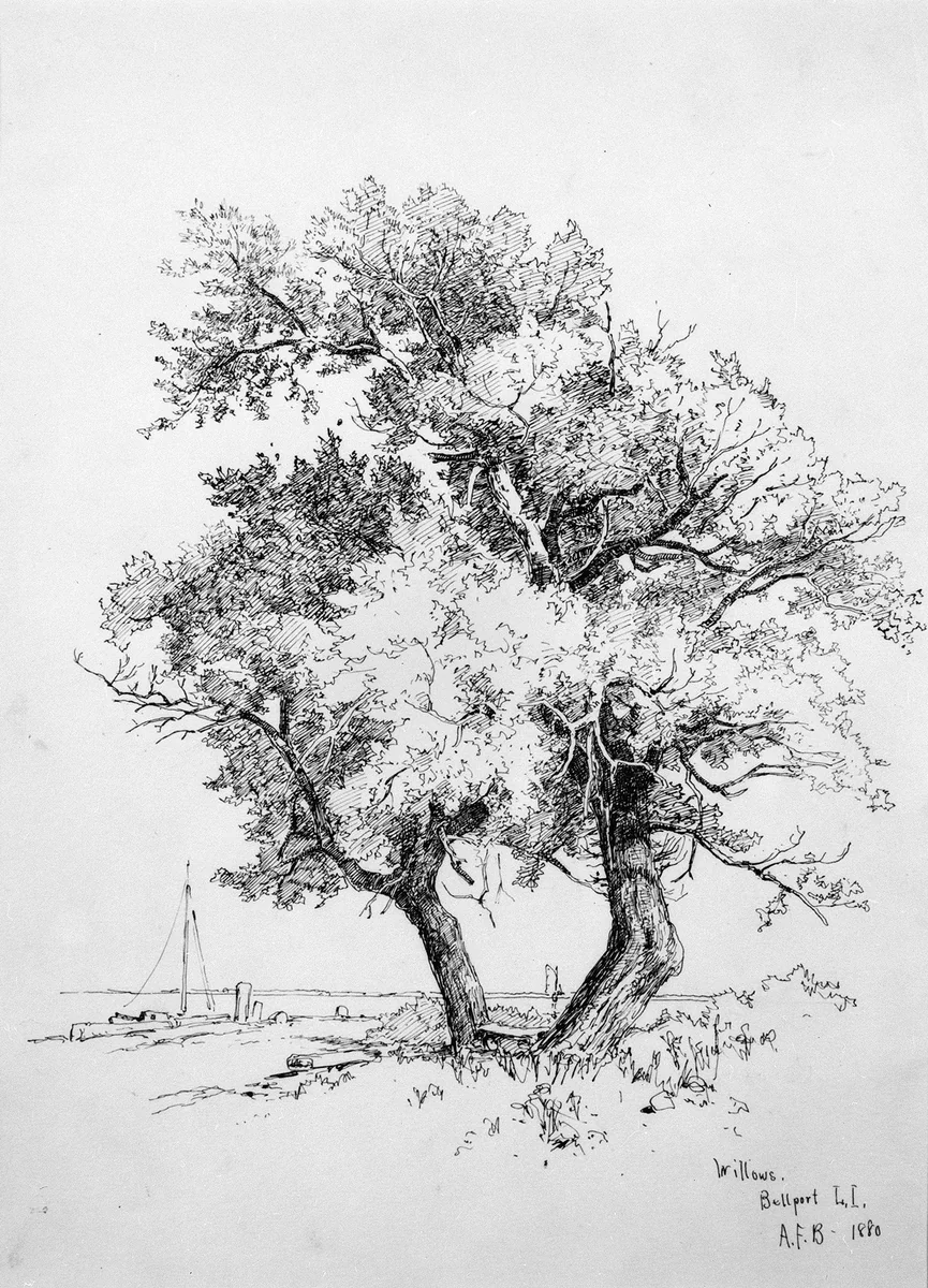 Willows, Bellport, Long Island by Andrew Fisher Bunner, artwork, 1880