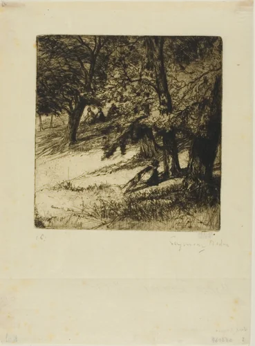 Sub Tegmine... by Francis Seymour-Haden, print, 1859