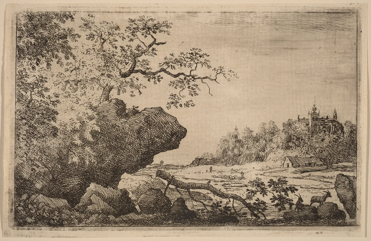 Branch in the Water by Allart van Everdingen, print, 1645-1656