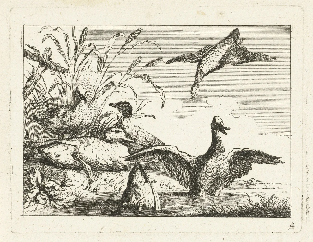 Eenden bij een plas by anonymous, print, 1700-1749