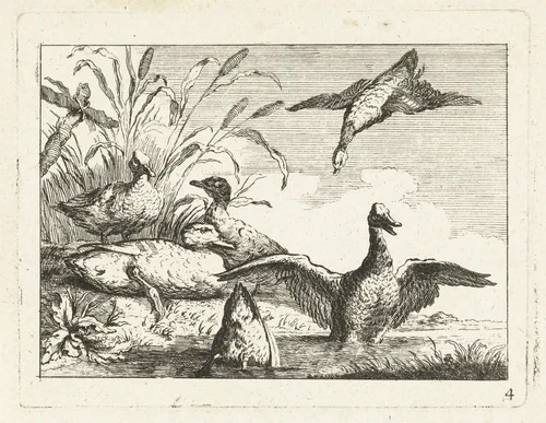 Eenden bij een plas by anonymous, print, 1700-1749