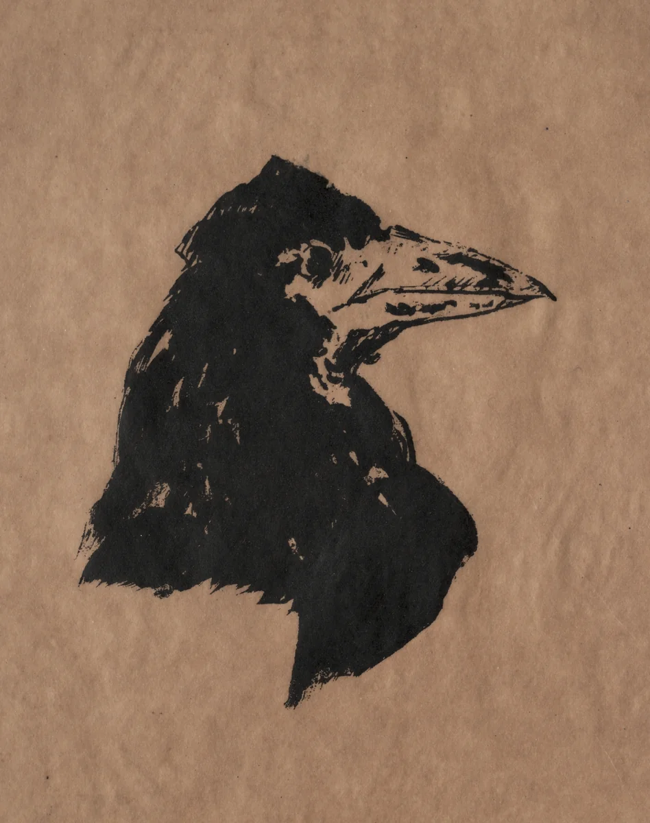 Raven's Head in Profile by Edouard Manet, print, 1875