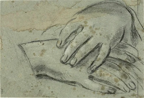 Crossed Hands (recto); Right Foot, Partially Covered by Drapery (verso) by Jacopo Cavedone, drawing, 1610-1660
