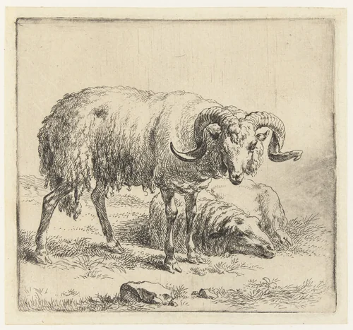 Ram en schaap by Nicolaes Pietersz Berchem, print, 1648-1652