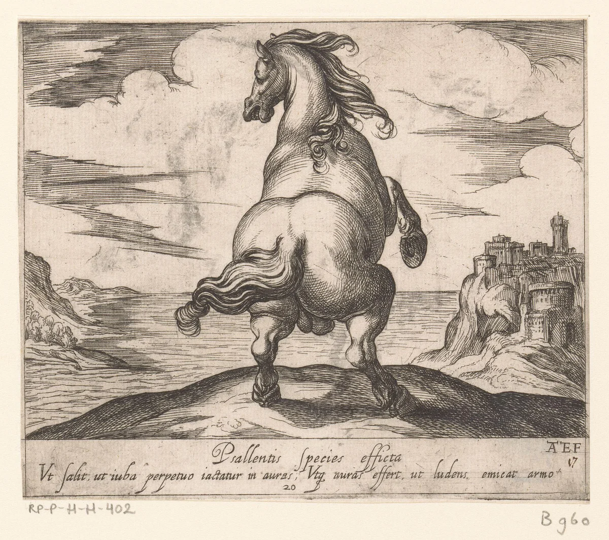 Steigerend paard van achteren gezien voor een zeegezicht by Unknown, print, 1590