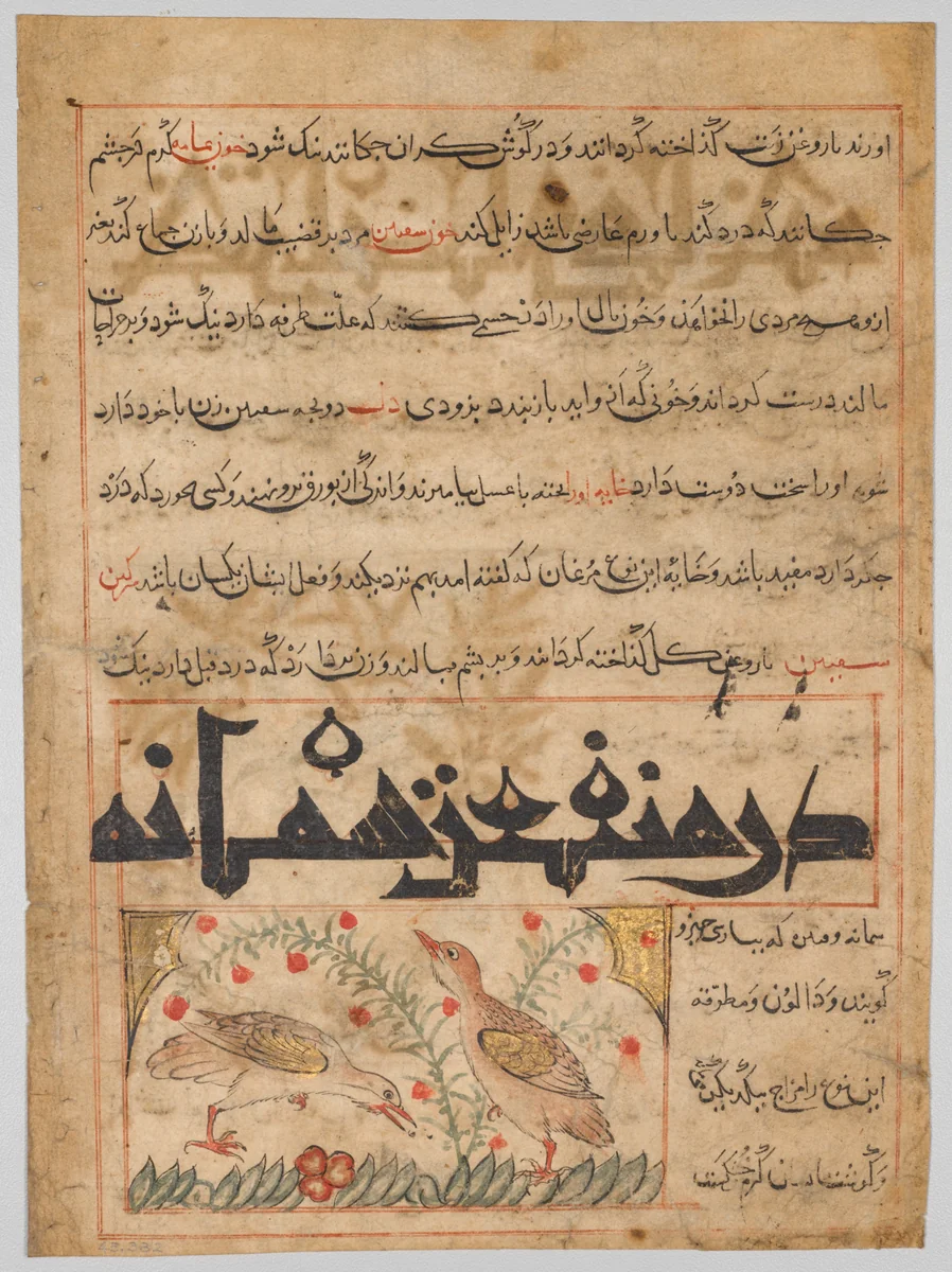 Folio from a Persian Manafi‘ al-Hayawan (The Benefits of Animals) of Abu Said Ubaid-Allah ibn Jibrail ibn Bakhtishu (died 1058–68) (verso) by Unknown, manuscript, 1295-1305