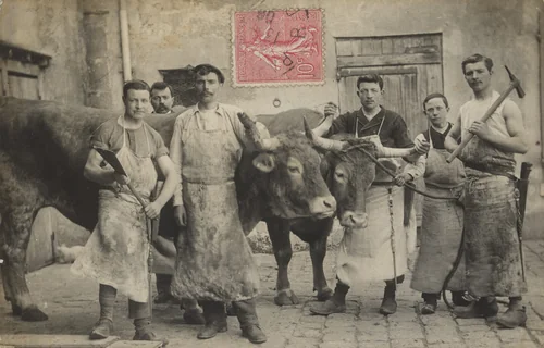 Boucherie Lefebvre, Sannois by Unidentified Photographer, photograph, 1906
