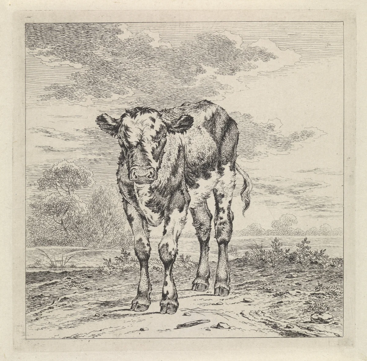 Landschap met kalf by Pieter Janson, print, 1780-1851