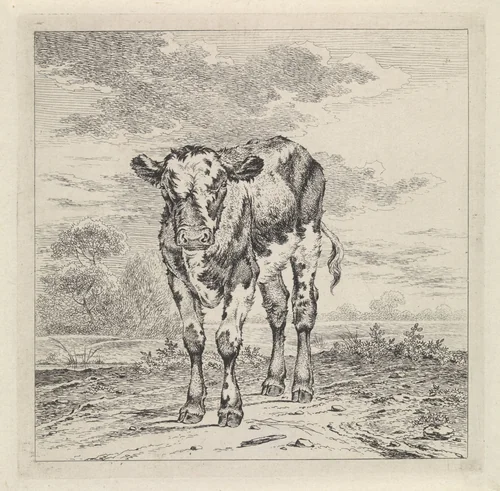 Landschap met kalf by Pieter Janson, print, 1780-1851