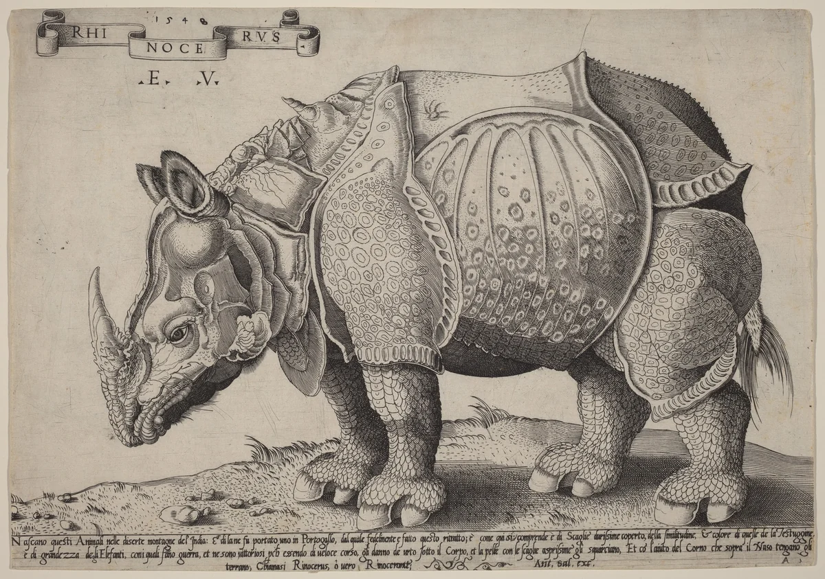 Rhinoceros by Enea Vico; Albrecht Dürer, print, 1548