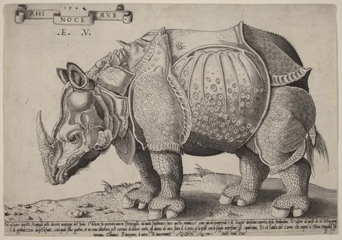 Rhinoceros by Enea Vico; Albrecht Dürer, print, 1548