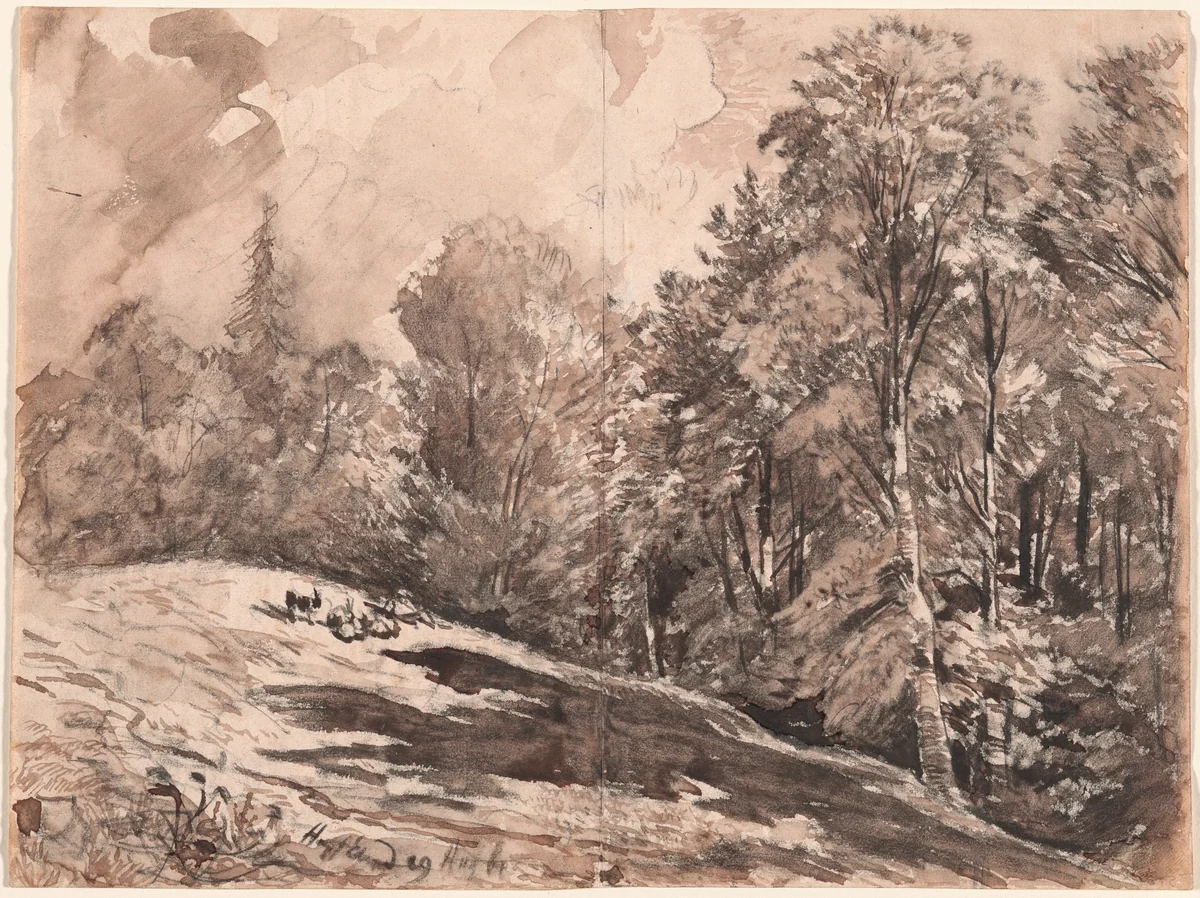 A Meadow with a Shepherd and Goats at the Edge of a Forest by Carl Wagner, drawing, 1861