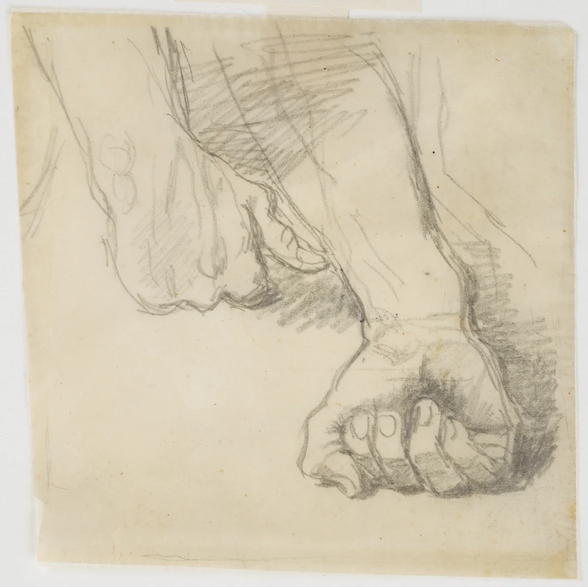 Study of Hands for "Christ Among the Doctors" by Jean-Auguste-Dominique Ingres, drawing, 1852-1862